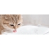 Kép 10/12 - Xiaomi Smart Pet Fountain-intelligens szökőkút